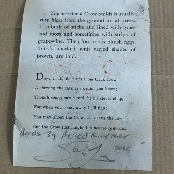 Original Abstract Modern Art Bird Painting The Belted Kingfisher Signed